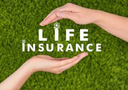 How to Compare Life Insurance Quotes